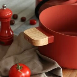 Faitout Ector Induction Aluminium Revêtu 24 Cm Rouge -Peuyer Magasin 108015 2 1 Faitout Ector induction aluminium revetu 24 cm rouge Ogo